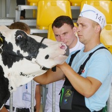 Dni pola, targi i wystawa. Tysiące osób odwiedza Minikowo